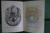 Анатомический атлас, дореволюционный. Медицина, анатомия человека. #K2 Анатомический атлас, дореволюционный. Медицина, анатомия человека. #K2