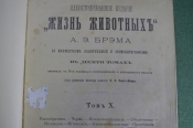 Книга Книга