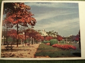 Открытка Открытка