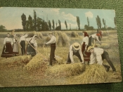 Открытка Открытка