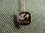 Значок франчик Значок франчик