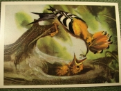 Открытка Открытка