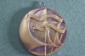 Медаль шейная Медаль шейная