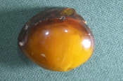 Брошь, брошка янтарная Брошь, брошка янтарная