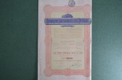 Международная нефтяная компания (Compagnie Internationale des Petroles). Акция с купонами. 1925 год. Международная нефтяная компания (Compagnie Internationale des Petroles). Акция с купонами. 1925 год.