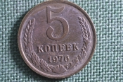 Монета 5 копеек 1976 года. Погодовка СССР. Монета 5 копеек 1976 года. Погодовка СССР.
