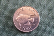 Монета 5 центов 2005 год. Five cents. Рыба. Елизавета II, Бермуды, Бермудские острова. Монета 5 центов 2005 год. Five cents. Рыба. Елизавета II, Бермуды, Бермудские острова.