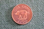 Монета 1 цент 2000 год. One cent. Кабан. Елизавета II, Бермуды, Бермудские острова. Монета 1 цент 2000 год. One cent. Кабан. Елизавета II, Бермуды, Бермудские острова.