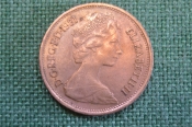 Монета 2 пенса 1981 года. Two new pence. Елизавета II, Великобритания. Монета 2 пенса 1981 года. Two new pence. Елизавета II, Великобритания.