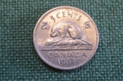 Монета 5 центов 1964 год. Бобр, бобер. Елизавета II. Canada, Канада. Монета 5 центов 1964 год. Бобр, бобер. Елизавета II. Canada, Канада.