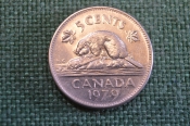 Монета 5 центов 1979 год. Бобр, бобер. Елизавета II. Canada, Канада. Монета 5 центов 1979 год. Бобр, бобер. Елизавета II. Canada, Канада.