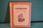 Книга Книга