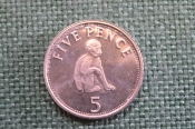 Монета 5 пенсов 2005 года. Five Pence. Обезьяна. Гибралтар, Gibraltar. Елизавета II. Монета 5 пенсов 2005 года. Five Pence. Обезьяна. Гибралтар, Gibraltar. Елизавета II.