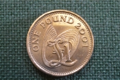 Монета 1 фунт 2001 года. One pound. Гернси, Guernsey. Елизавета II. Монета 1 фунт 2001 года. One pound. Гернси, Guernsey. Елизавета II.