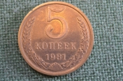 Монета 5 копеек 1981 года. Погодовка СССР. Монета 5 копеек 1981 года. Погодовка СССР.
