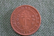 Монета 1 цент 1870 год. Ceylon. One Cent. Виктория. Цейлон. Монета 1 цент 1870 год. Ceylon. One Cent. Виктория. Цейлон.