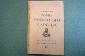 Книга Книга