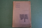 Книга Книга