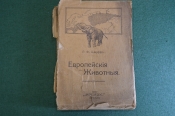 Книга Книга